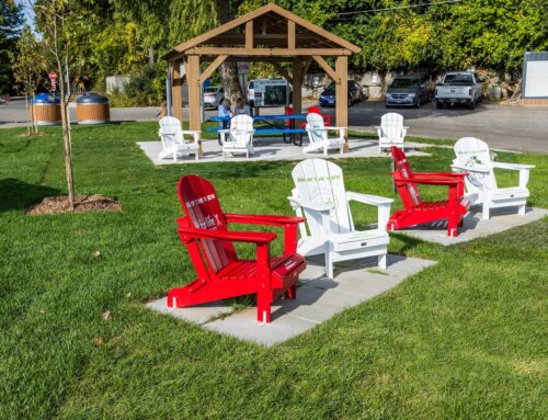 Placemaking at LaSalle Park Community Marina!