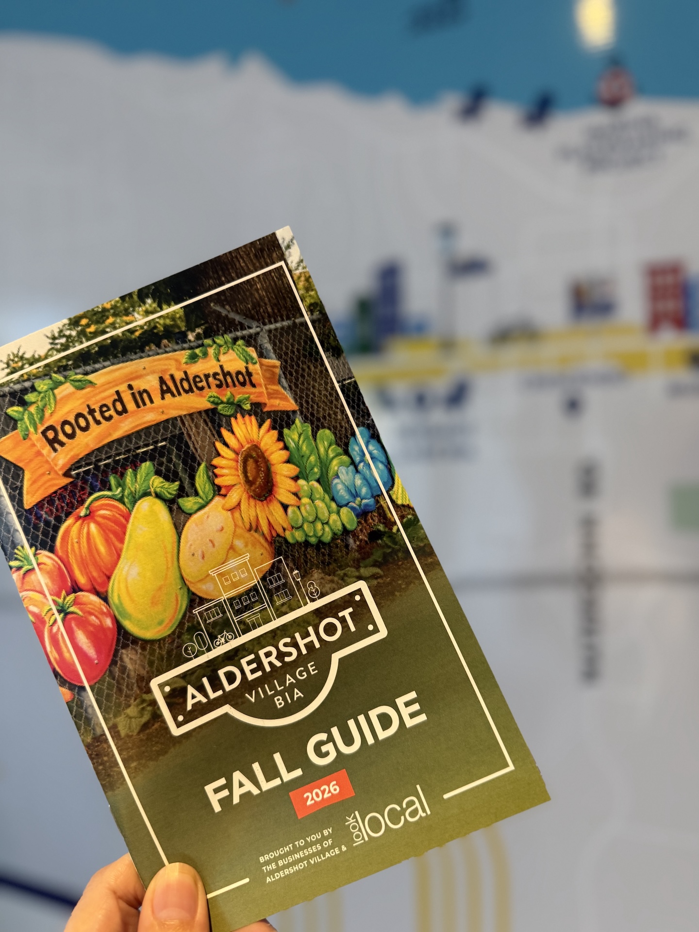 Our First-Ever Aldershot Guide Is Here!